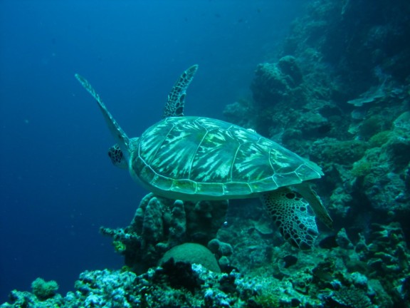 Manado, Indonesia