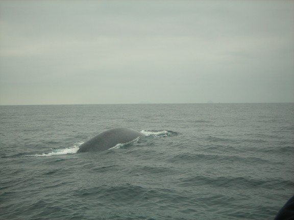 Pacific Ocean