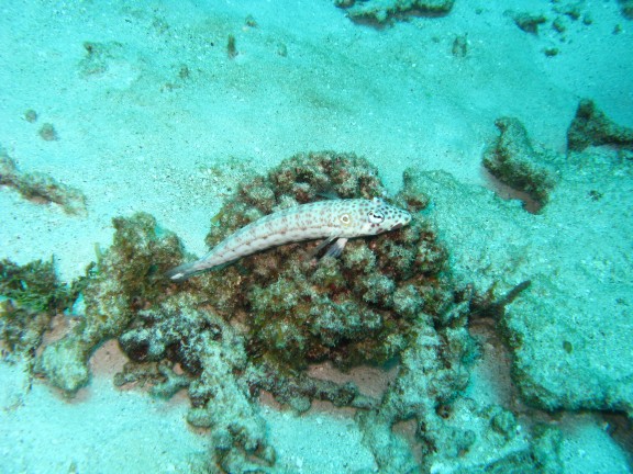 Queensland, Australia