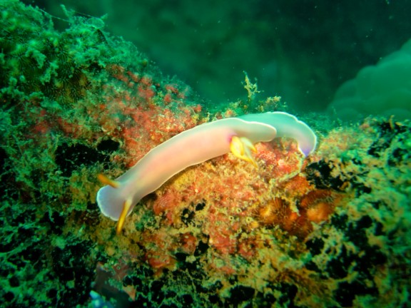 Mersing, Malaysia