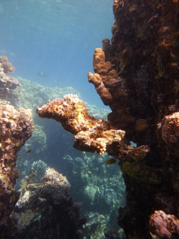 Dahab, Egypt