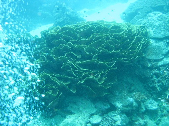 Queensland, Australia