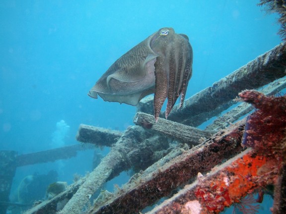Semporna, Malaysia