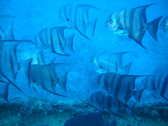 Pompano Beach, Florida