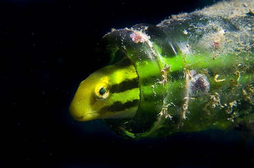 Bitung, Indonesia