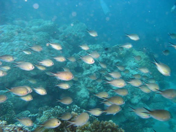Queensland, Australia