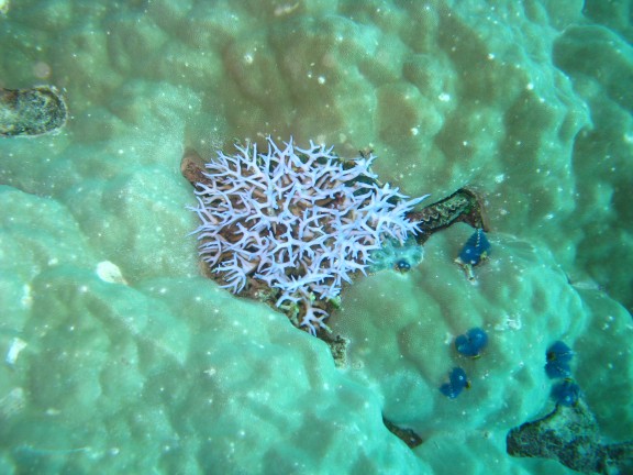 Queensland, Australia