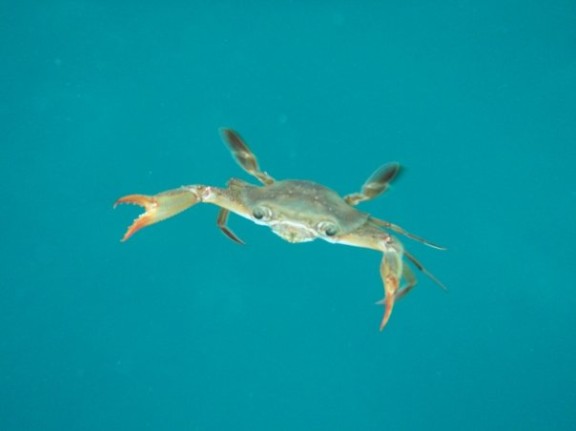 Tadjourah, Djibouti