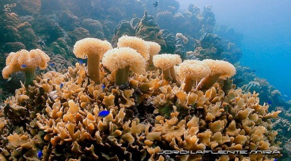 Indonesia