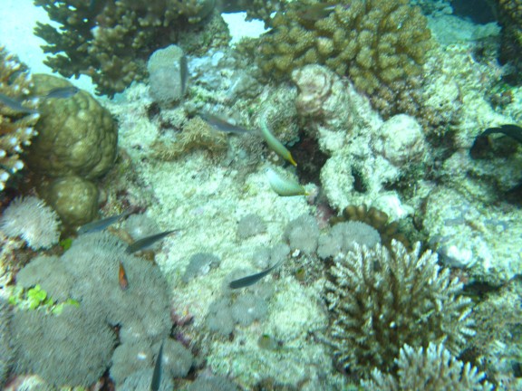 Queensland, Australia