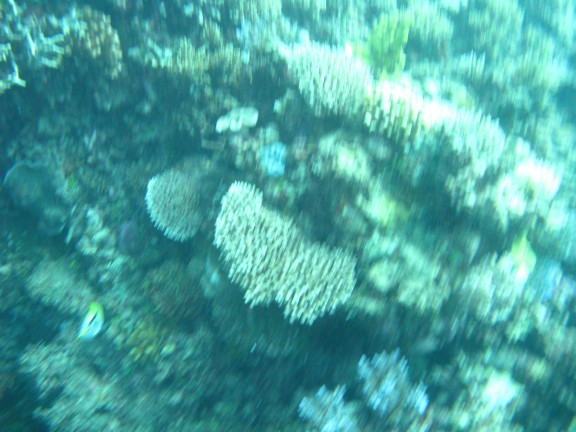 Queensland, Australia
