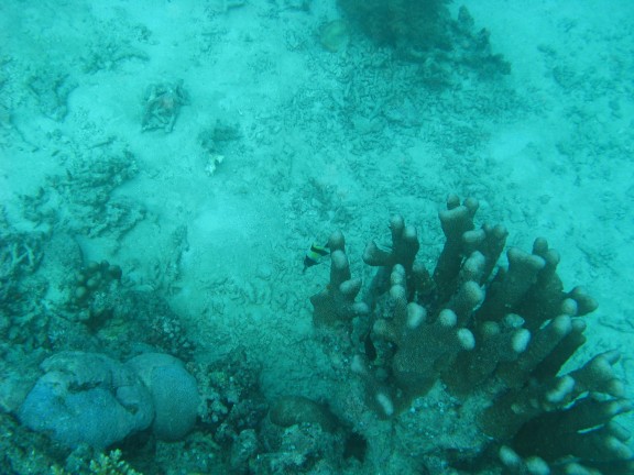 Queensland, Australia
