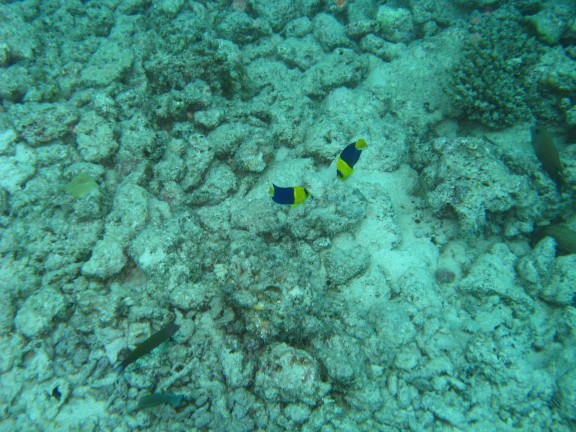 Queensland, Australia