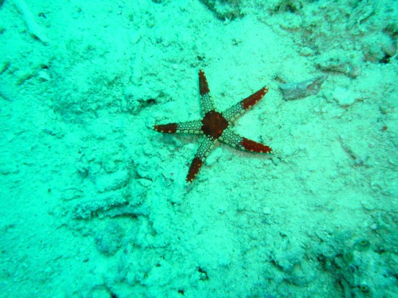 Malaysia