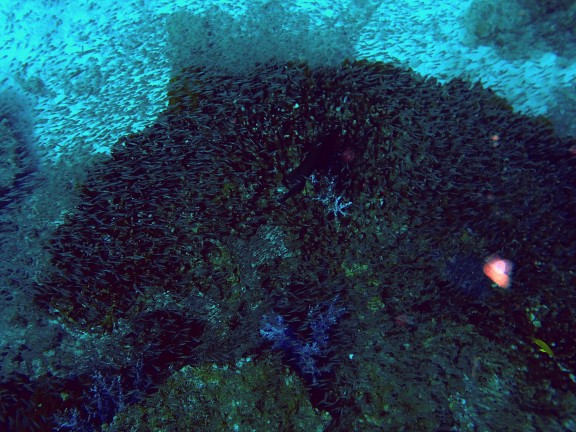 Islas Similan