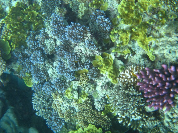 Queensland, Australia