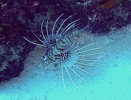 Islas Similan.Tailandia.