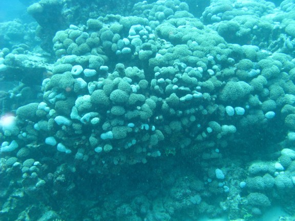 Queensland, Australia