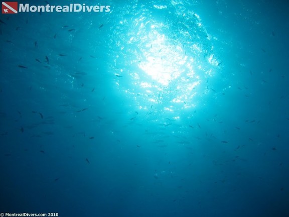 Bonaire