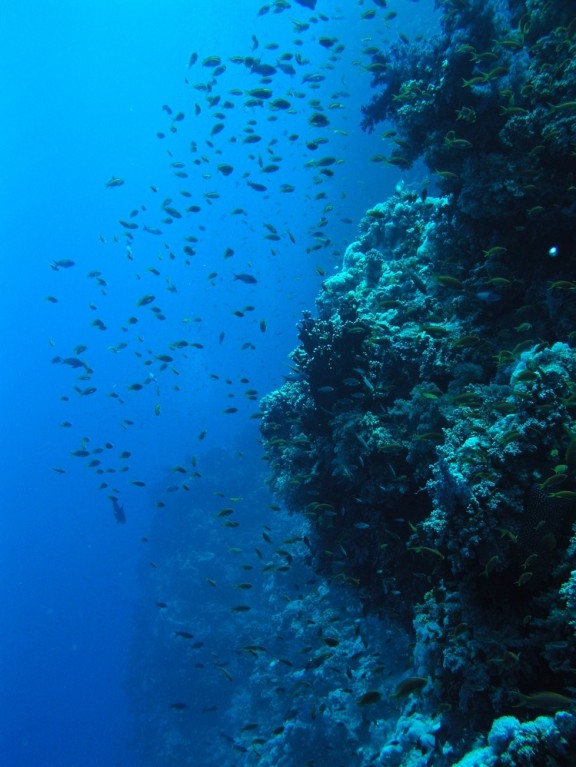 Sharm el-Sheikh, Egypte