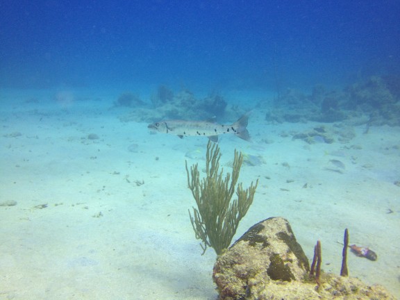 Frederiksted, Islas Vírgenes de los Estados Unidos