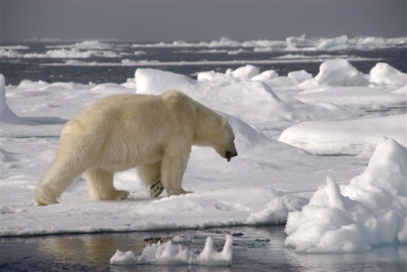 Svalbard