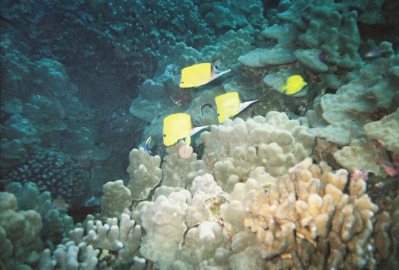 Kailua-Kona, United States