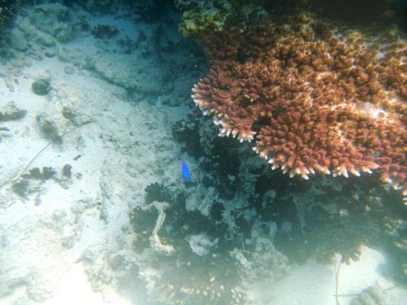 Shefa Province, Vanuatu