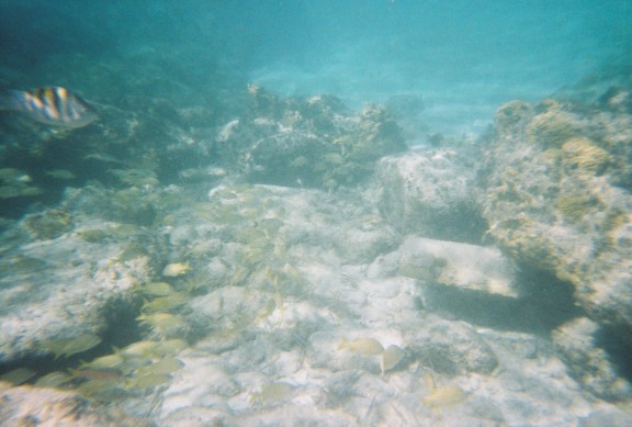 The Bahamas