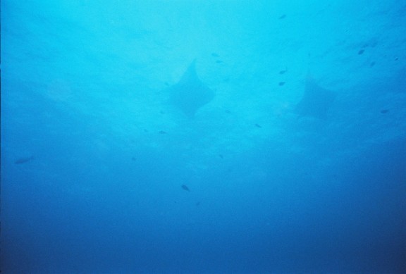 Kailua-Kona, United States