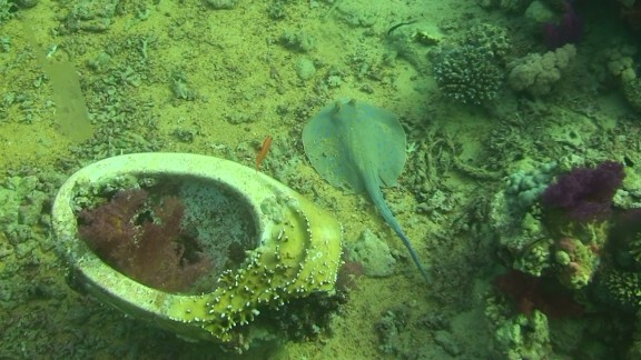 Red Sea