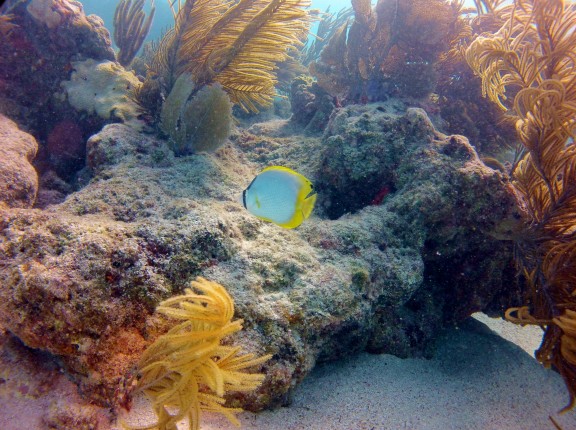 Ramrod Key , FL