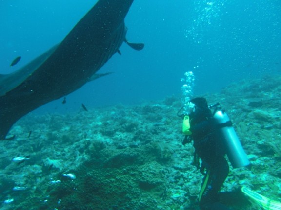 Raja Ampat