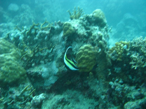 Queensland, Australia