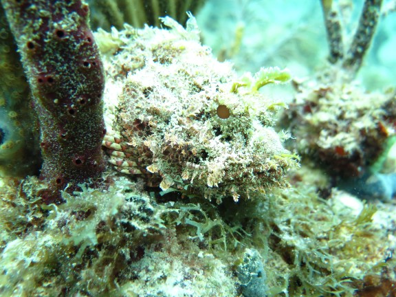 Bayahibe, Dominikanische Republik