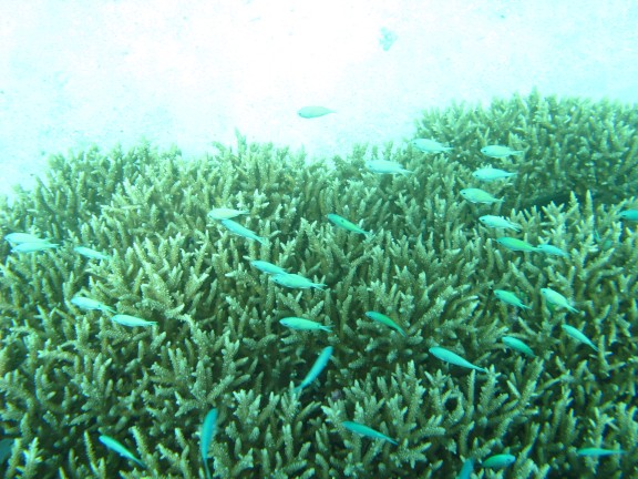 Queensland, Australia
