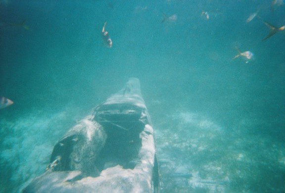 The Bahamas