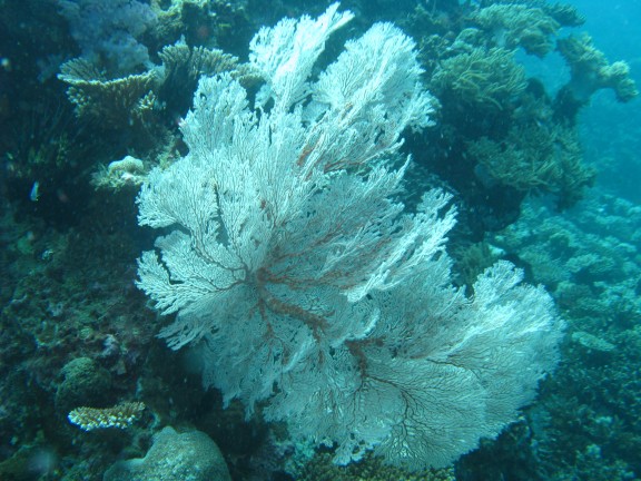 Queensland, Australia