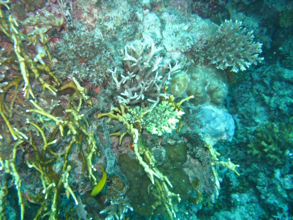 Queensland, Australia