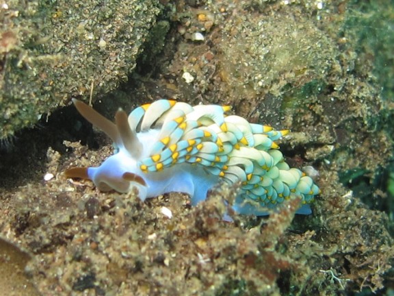 Nusa Tenggara Timur, Indonesia