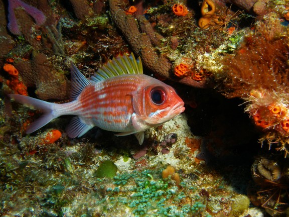 Cozumel,Mexico