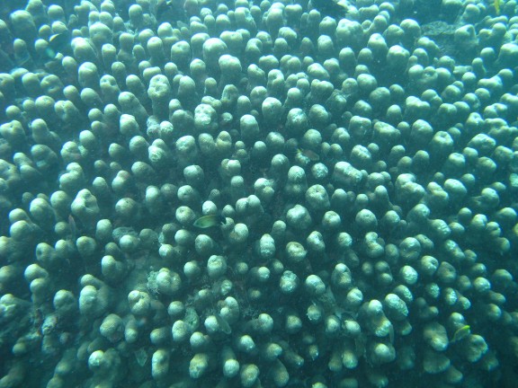 Queensland, Australia