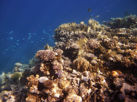 Dahab, Egypt
