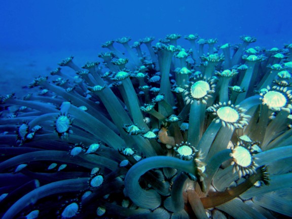 Andaman, India