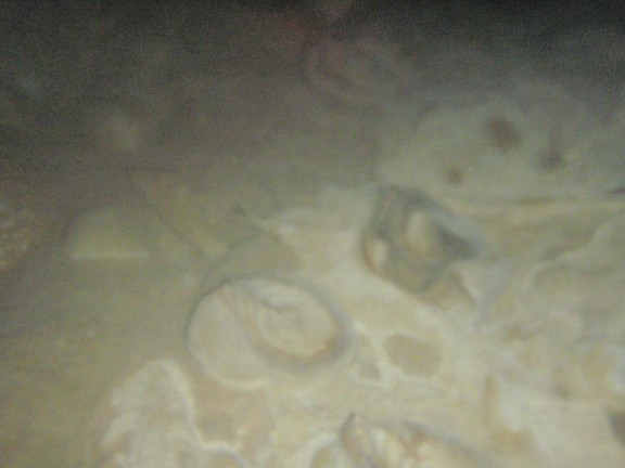 Quintana Roo, Mexico