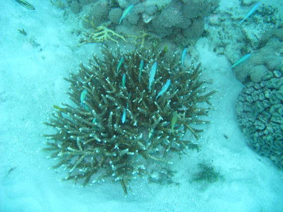 Queensland, Australia