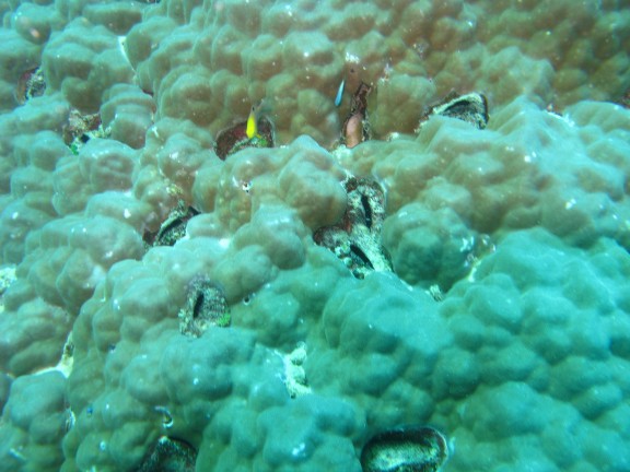 Queensland, Australia