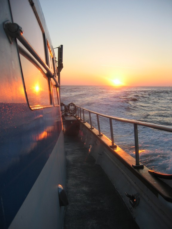 Farallon Islands