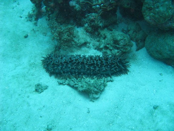 Queensland, Australia