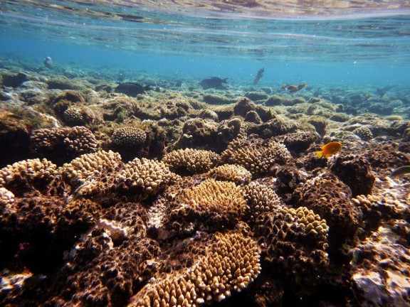 Dahab, Egypt